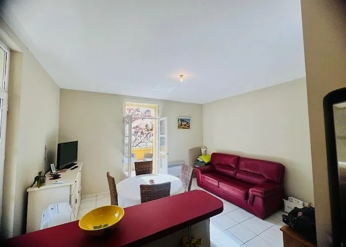 Apartment F2 Avec Balcon, Centre-ville, 2 Pers, Proche Cures, Animaux Admis - Fr-1-703-183 Amélie-les-Bains-Palalda